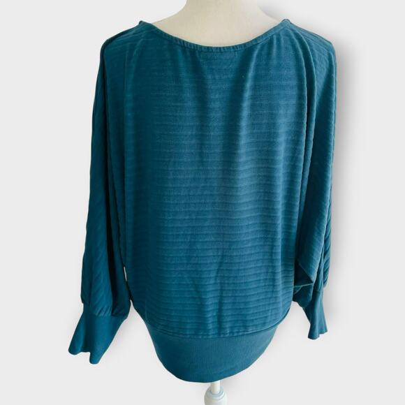 Saturday Sunday Shawna Hacci Velour Dolman Sleeve Sweater Blue Viscose Ribbed M - Picture 3 of 12